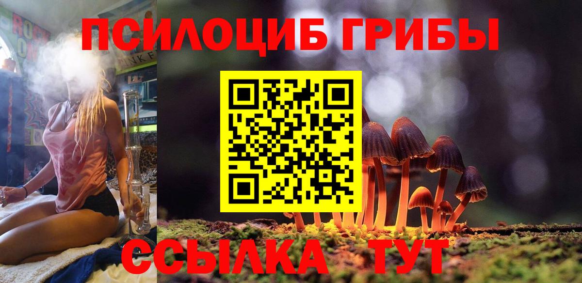 Псилоцибиновые грибы Cubensis  Вход с VPN  Псилоцибиновые грибы прущие грибы  Северск 